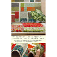 イケヒコ・コーポレーション エデン 玄関マット 約70×120cm 1310840016401 1枚