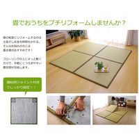 イケヒコ・コーポレーション スカッシュ GN 約82×82×1.7cm 1110460000000 1セット(4枚入)