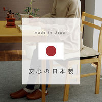 イケヒコ・コーポレーション ヌード 45角シート IV 約45×45cm 1210660000000 1組(2個)