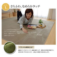 イケヒコ・コーポレーション ピオニーHCC IT BR 約200×250cm 1380000000000 1枚