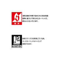 プレーベル ラグ スマートギャベ ナチュラル 200×250cm 4974-002-43 1枚（直送品）