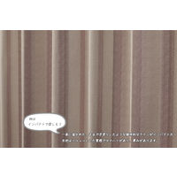 ユニベール タロス ローズ 厚地カーテン 幅100×高さ135cm 1セット（2枚入り） 1セット（厚地カーテン2枚）（直送品）