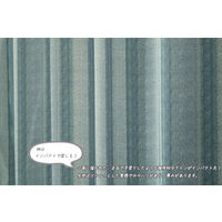 ユニベール タロス グリーン 厚地カーテン 幅100×高さ135cm 1セット（2枚入り） 1セット（厚地カーテン2枚）（直送品）