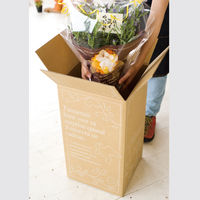 ヘッズ デリバリーカートン-5 D-5 1パック(20枚)