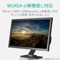 D-Sub15ピンケーブル VGAエクステンダー LANケーブル使用で最大300m延長 VEX-VGA3001S エレコム 1個 (直送品)（直送品）