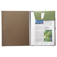 リヒトラブ SMART FIT キャリングポケットA4 オリーブ F7528-22 2冊