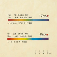 大直 コピー用紙 麻紙 自然色 A4 30枚入 206040410