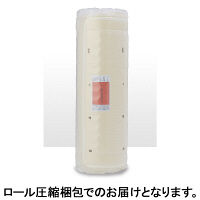 フランスベッド（FranceBed） マットレス シングル ポケットコイル DE-P100 033041100 1枚