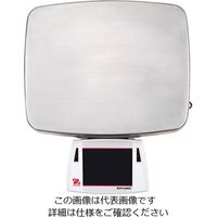 オーハウス 上皿天びん エクスプローラーシリーズ 24kg EX24001G 1個 61-5079-57（直送品）