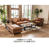 【車上渡し】RELAX FORM ペルカ 1人掛ソファ スカイ 1脚（直送品）