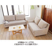 【車上渡し】RELAX FORM サボン 2.5人掛ソファ フレンチベージュ 1脚（直送品）