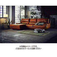 【組立設置込】RELAX FORM トレビソ カウチ（左）カカオ 1セット（直送品）