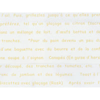 大阪ポリヱチレン販売 No.416亀甲袋レシピ柄L 2030 1包：100枚×10（直送品）