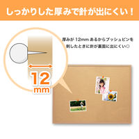 アスカ コルクボード 900×1200mm 3Lサイズ CB341 1枚