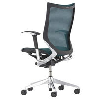 【無料引取付き】CP85AR FEH5|オカムラ エルゴノミックメッシュチェア バロン オフィスチェア 肘付 ダークグリーン 1脚（直送品）