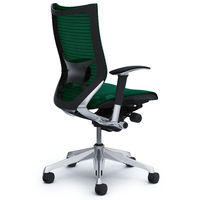 【無料引取付き】CP85AS FEH5|オカムラ バロン ハイバック ランバー付 可動肘 背・座メッシュ ポリッシュ×ブラック ダークグリーン 1脚（直送品）