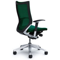 【無料引取付き】CP85BR FEF5|オカムラ バロン ハイバック 可動肘 背メッシュ・座クッション ポリッシュ×ブラック ダークグリーン 1脚（直送品）