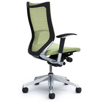 【無料引取付き】CP85BR FEF6|オカムラ バロン ハイバック 可動肘 背メッシュ・座クッション ポリッシュ×ブラック ピスタチオグリーン 1脚（直送品）