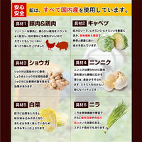 イートアンド イートアンド[冷凍]大阪王将 羽根つきスタミナ肉餃子12個入 s-981 1セット（2ケース×20袋入）（直送品）