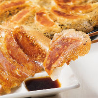 イートアンド [冷凍]大阪王将 羽根つき餃子 12個  s-978  1セット（2ケース×20袋入）（直送品）