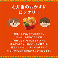 イートアンド [冷凍]大阪王将 羽根つきカレー餃子12個 s-980  1セット（2ケース×20袋入）（直送品）