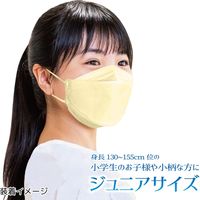 3D立体型やさしいマスク ジュニアサイズ ベージュ 5枚入 ３袋セット DKL5-AS 1セット（3袋） エスパック（直送品）