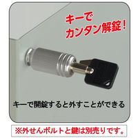 ガードロック 外せんボルト・ナット用 鍵 16534 No.750key-16534 1個