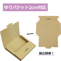 ロジマート ダンボール ゆうパケット2cm フリマアプリ 梱包 NO596 250枚 170601-250 1セット（250枚）（直送品）