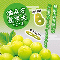 グミ 忍者めし鋼 マスカット UHA味覚糖 1セット（1袋×3） 小袋 食べ切りサイズ
