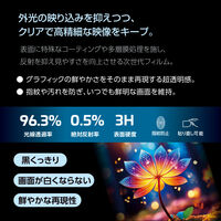 ナカバヤシ iPad(A16)用フィルム AR 低反射・光沢 TBF-IP25FLKAR 1個