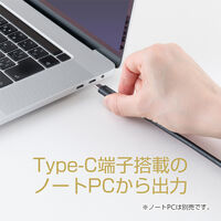ナカバヤシ TypeーC ー DisplayPort 変換ケーブル 8K60Hz 1m USD-DP8K10BK 1個