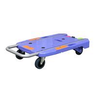 ナンシン コンパクトキャリー NCC-101B2 1PC（直送品）