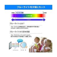 保護フィルム フィリップス 34B2U3600C/11 34インチ ブルーライトカット cblm-moni-k0001723655 1枚（直送品）