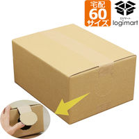 ロジマート ダンボール 60サイズ 265*200*125 120枚 開封穴有り 51z198an-120 1セット（直送品）