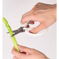 パール金属 コンパクトキッチンバサミ 便利小物 小袋サイズ ホワイト 228226 1個（直送品）