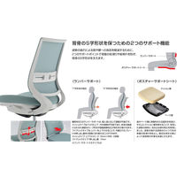 【組立設置込】コクヨ ミトラ2 メッシュ スタンダードバック ランバー付 L字肘 黒脚 ウレタンキャスター 白灰×ダークグレージュ １脚（直送品）