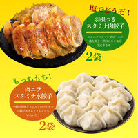 イートアンド 大阪王将ニンニクスタミナガーリックセット s-966 1セット（直送品）