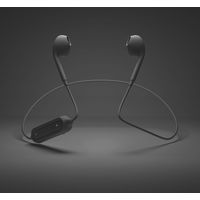 PGA Bluetooth(R) 5.0搭載 ワイヤレスステレオイヤホン インナーイヤータイプ ブラック PG-BTE12IE1BK 1個