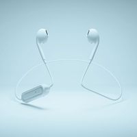 PGA Bluetooth(R) 5.0搭載 ワイヤレスステレオイヤホン インナーイヤータイプ ブルー PG-BTE12IE3BL 1個