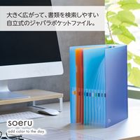 リヒトラブ アコーディオンファイル<soeru> A4 12仕切り(13ポケット) フロストクリヤー F8600-1 1冊