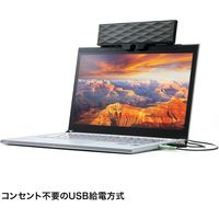 サンワサプライ USB電源サウンドバースピーカー MM-SPL11UBKN 1個