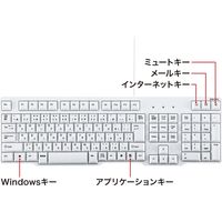 サンワサプライ PS/2キーボード(ホワイト) SKB-L1N 1個