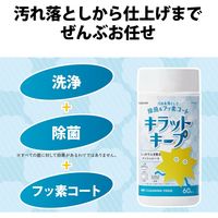 【アウトレット】【Goエシカル】訳あり ウェットティッシュ 60枚 除菌 フッ素コート アルコール メッシュ HA-WCKC60 エレコム 1個