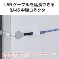 延長コネクタ CAT6A準拠 簡易防水テープ付属 屋外対応  2個入り ホワイト LD-VAPFR6A/SET エレコム 1個