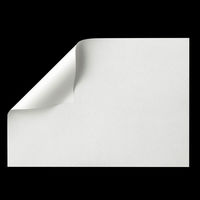 アスクル領収証用紙 A6 白色 無地 1箱（1000枚入）  オリジナル（わけあり品）