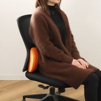 クラスアップ クッション ランバーサポート ウレタン メッシュ 低反発 オレンジ 387518 1個（直送品）