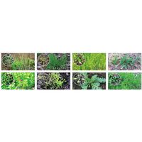 バイエル リベレーターG 3kg 2056669 1袋 バイエル クロップサイエンス（直送品）