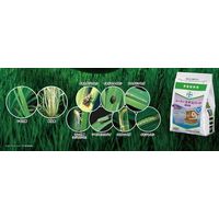 バイエル ルーチンエキスパート箱粒剤 9kg 2056677 1袋 クロップサイエンス（直送品）