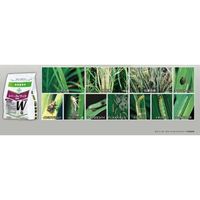 バイエル エバーゴルワイド箱粒剤 1kg 2056624 1袋 クロップサイエンス（直送品）