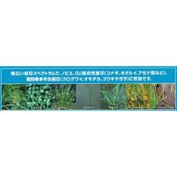 バイエル カウンシルコンプリートジャンボ 300g 2056631 1パック バイエル クロップサイエンス（直送品）